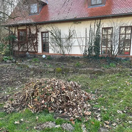 Mitten Auf Dem Land *